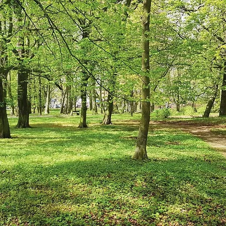 Stunning In With 1 Bedrooms And Wifi Apartmán Kolobřeh
